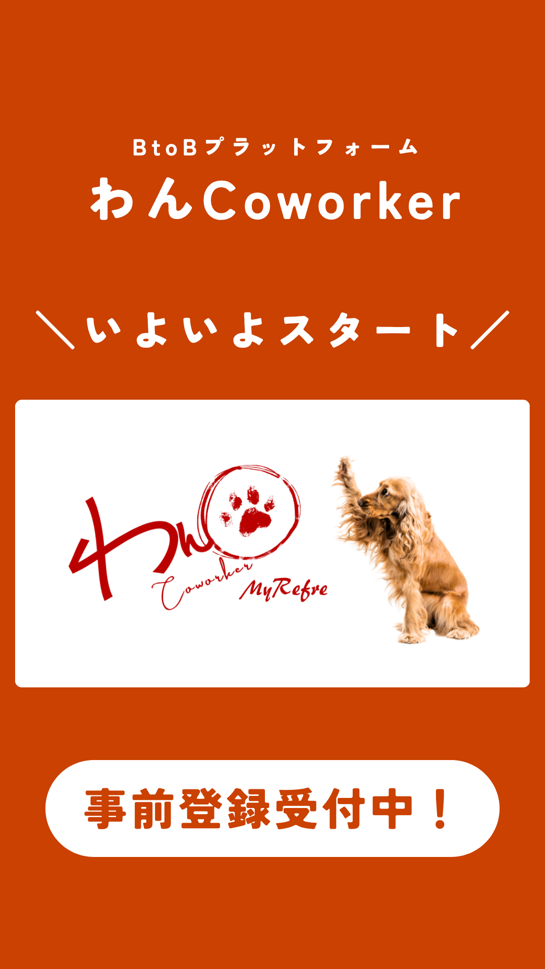 犬業界オーナー同士がつながるBtoBマッチングサービス わんCoworker